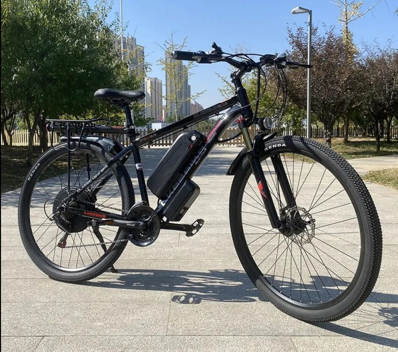 European Mountain Electric bike