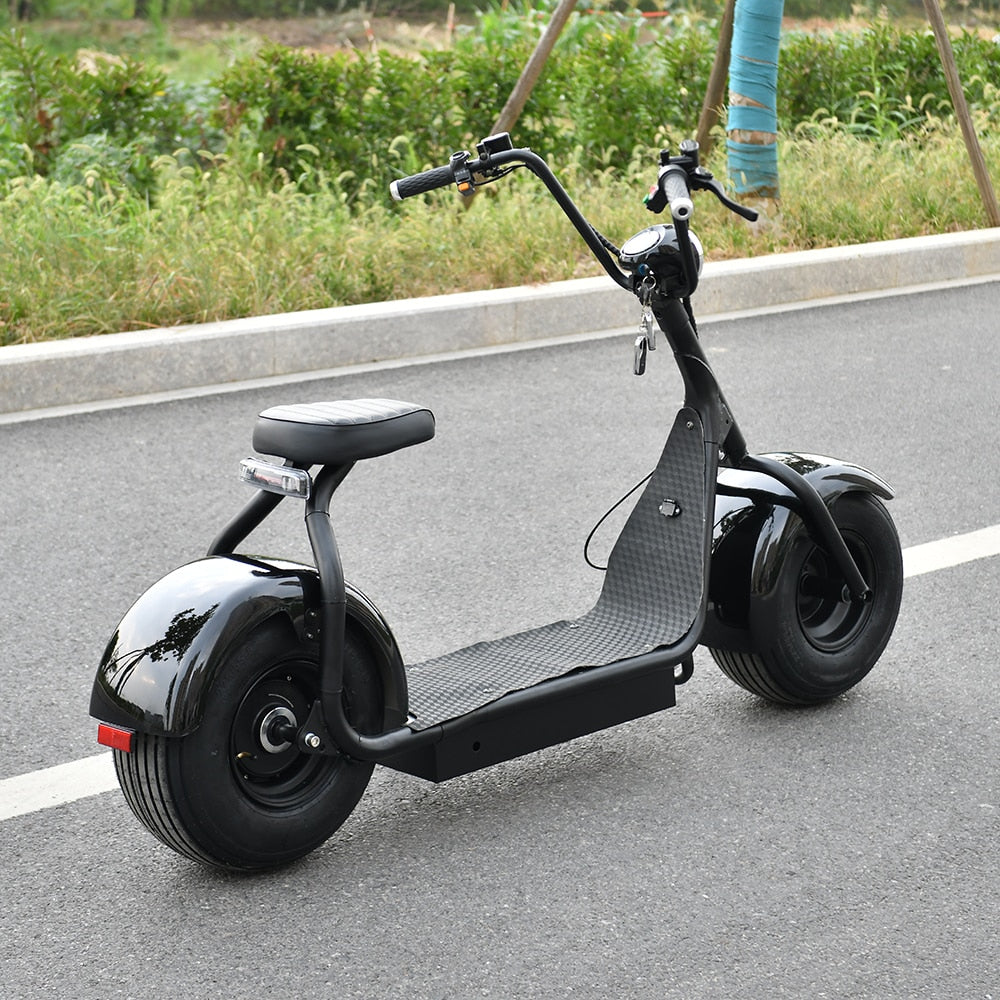 Electric Scooter 1000W - Pro E-Rides