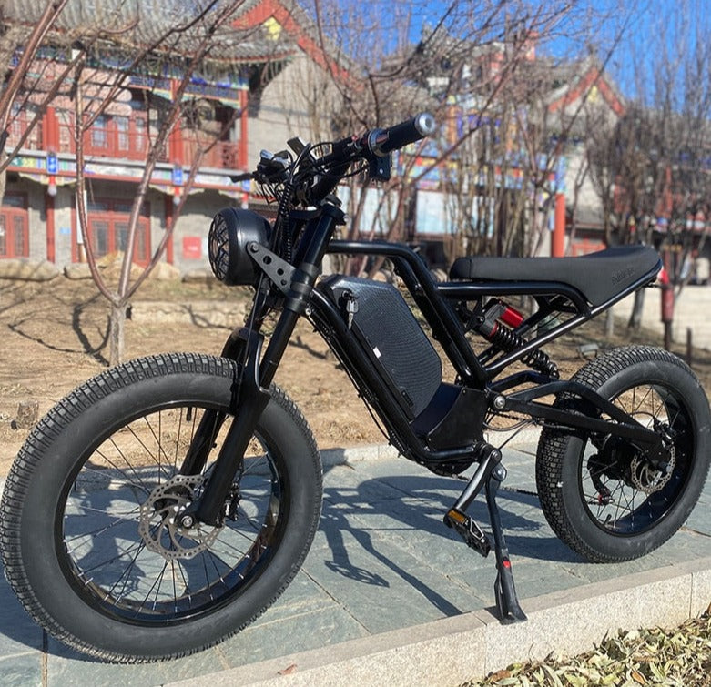 Off-Road Fat bike Hydraulic Brake - Pro E-Rides