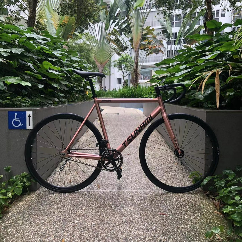 Aluminum Alloy Frame Fixed Gear Bike - Pro E-Rides