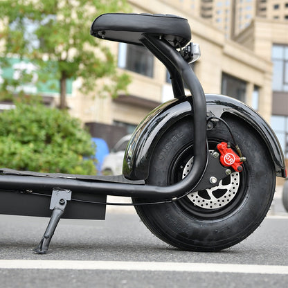 Electric Scooter 1000W - Pro E-Rides