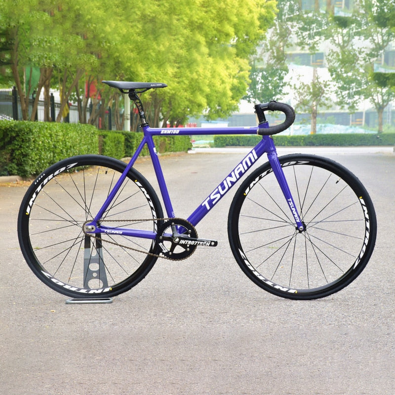 Aluminum Alloy Frame Fixed Gear Bike - Pro E-Rides