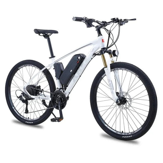 Speed Life Electric Bicycle 27 Inches - Pro E-Rides