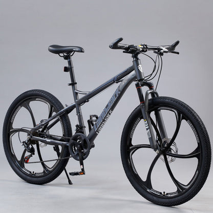 Speed Shock Absorbing Mountain Bike