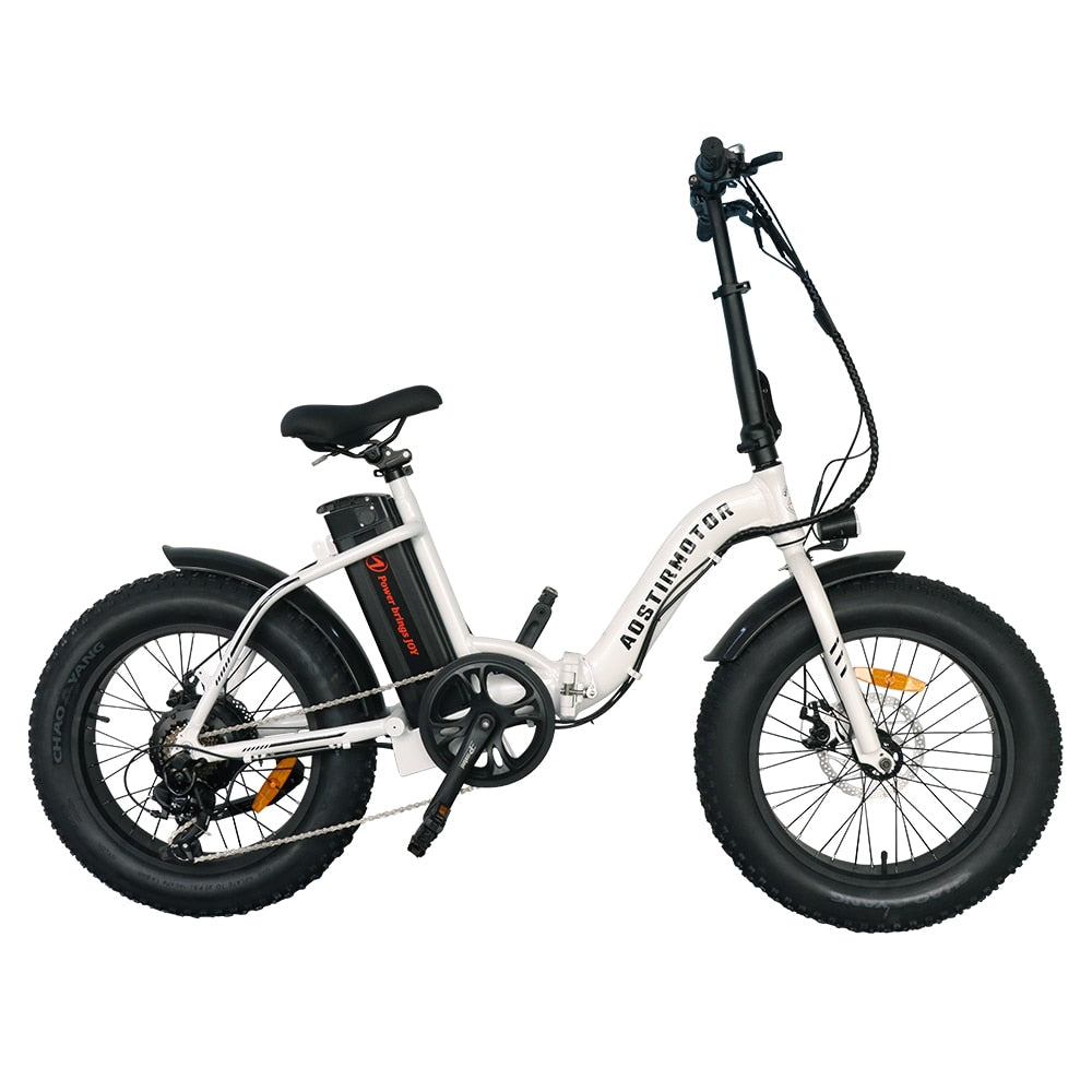 Snow Electric Bike Folding 20 Inch - Pro E-Rides