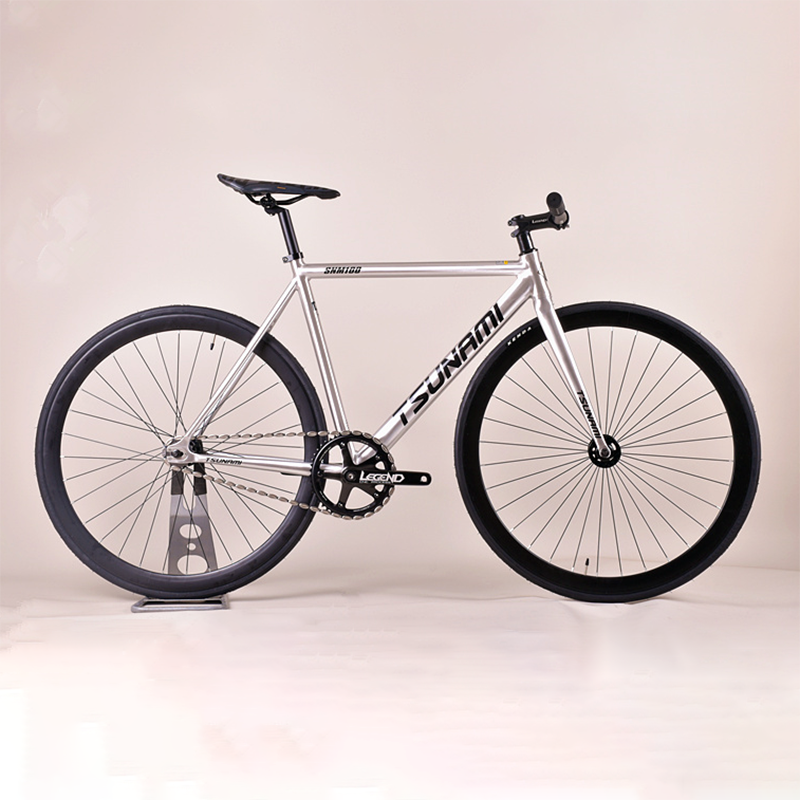 Aluminum Alloy Frame Fixed Gear Bike - Pro E-Rides