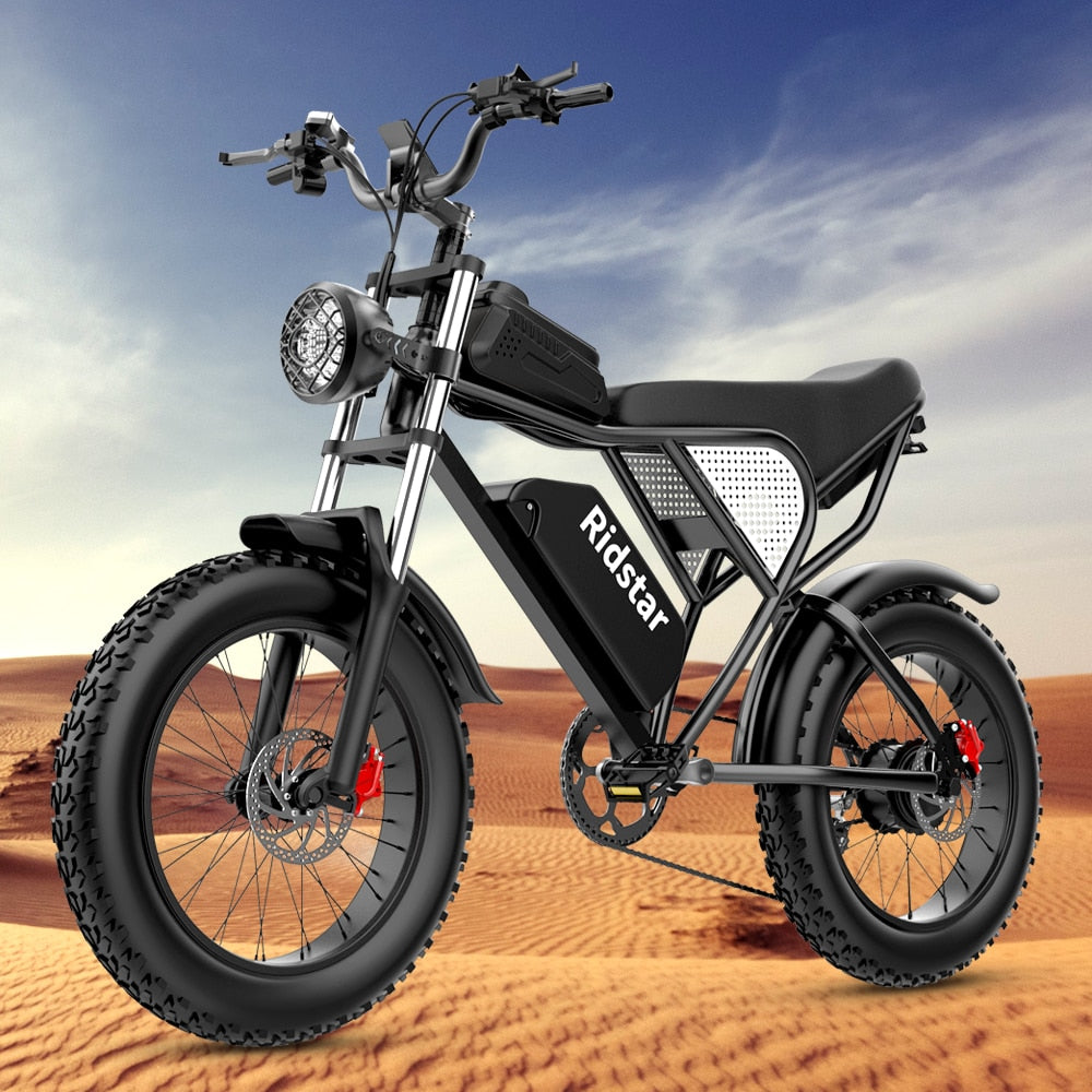 Electric Bike Waterproof Powerful Dual motor