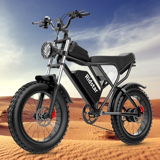 Electric Bike Waterproof Powerful Dual motor