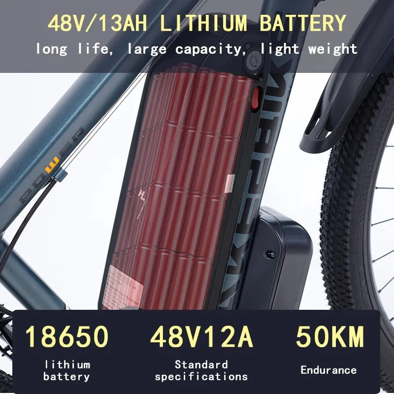 European Mountain Electric bike