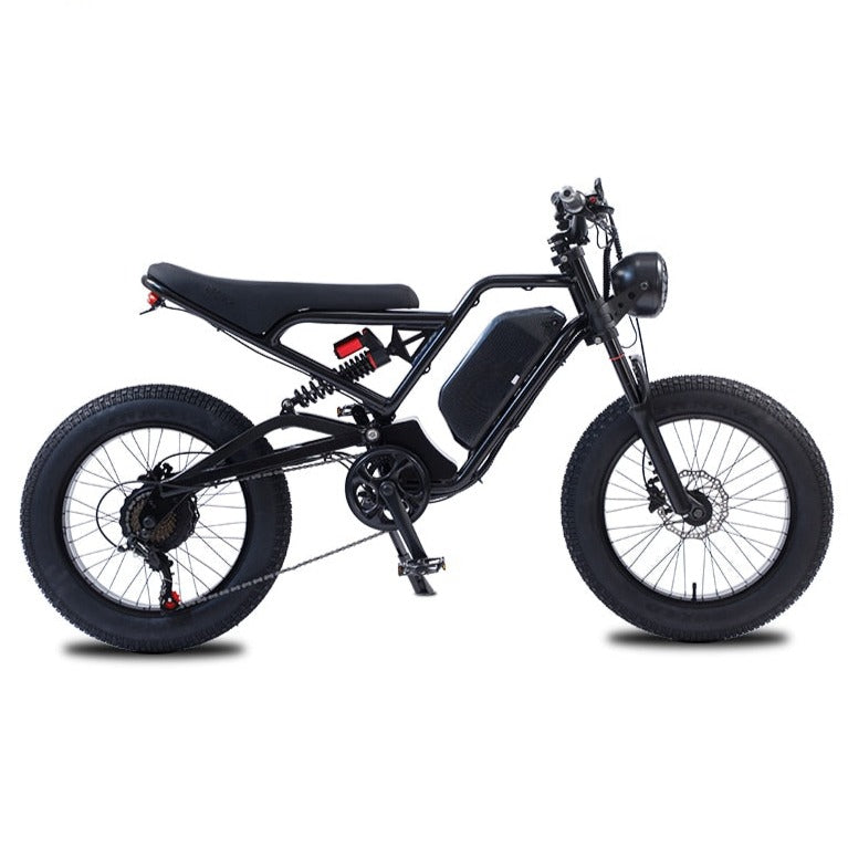 Off-Road Fat bike Hydraulic Brake - Pro E-Rides