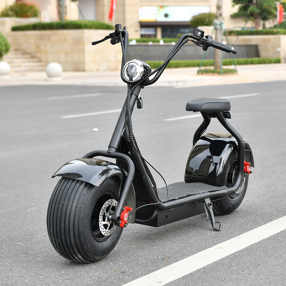 Electric Scooter 1000W - Pro E-Rides