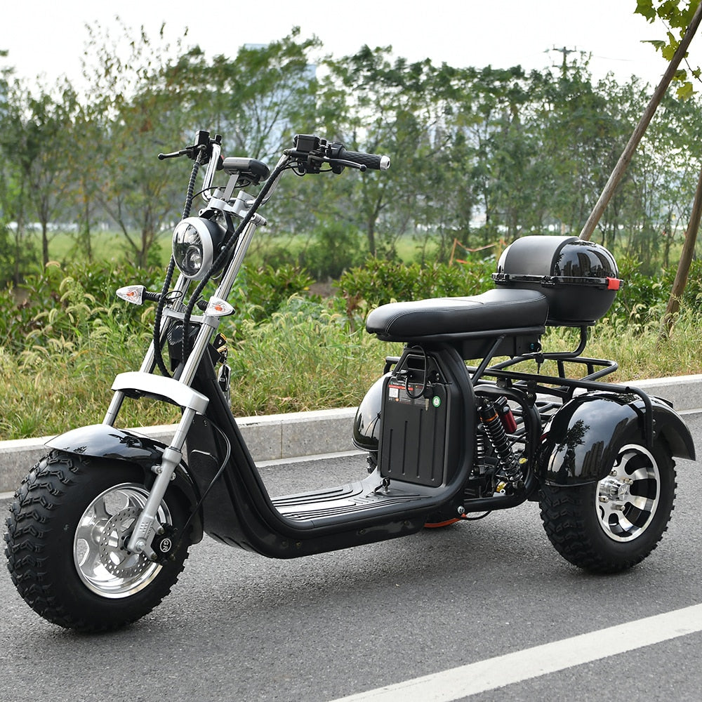 Electric 3 Wheel Scooter 2000W - Pro E-Rides